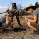 Josephine with Kate and Mphoeng in the field collecting samples