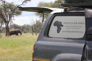 elephants for Africa car