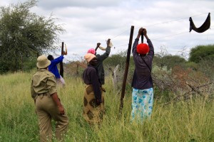 Attaching the rags to the fence