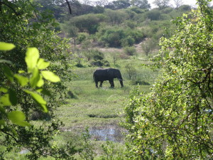 View from outside the office