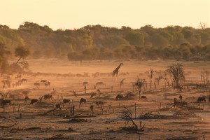 Dry dusty riverbed