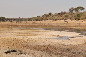 The river returning