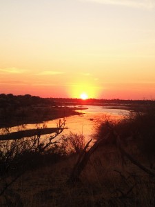 The Boteti River at sunset