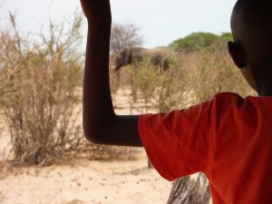 School pupil observing an elephant in the National Park