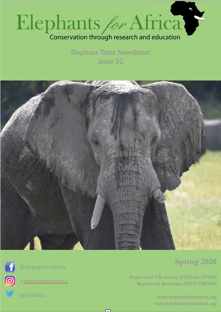 ElephantTales32_Coverpage