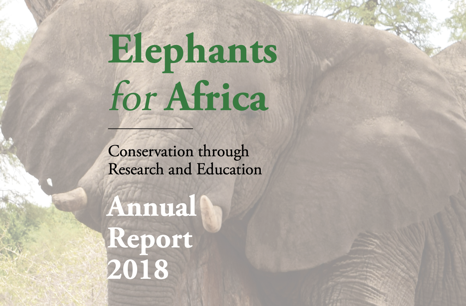 EfA_AnnualReport2018