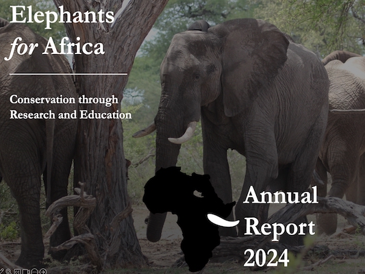 Annual Report Cover 2024